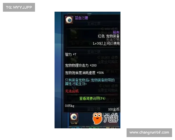 如何通过净化红字装备提升属性极限的全面攻略与技巧 如何通过净化红字装备提升属性极限的全面攻略与技巧