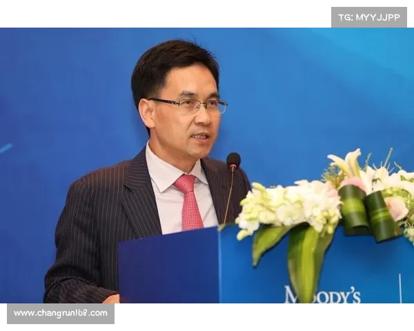 坎贝尔最佳位置系统化分析与发展建议的综合研讨与未来展望