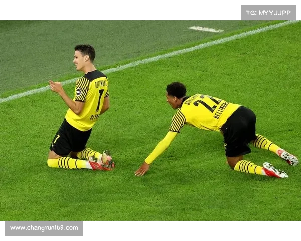 海瑟尔关事件与其他足球暴力事件的五大关键区别解析