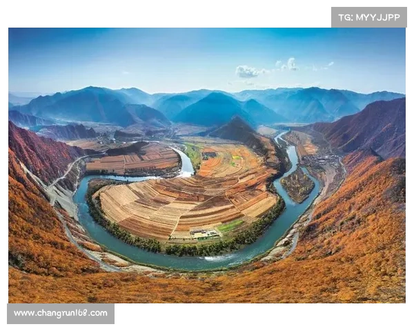 深入探秘澳洲杯竞技水平背后的实力传承与文化底蕴之源流探寻脉络