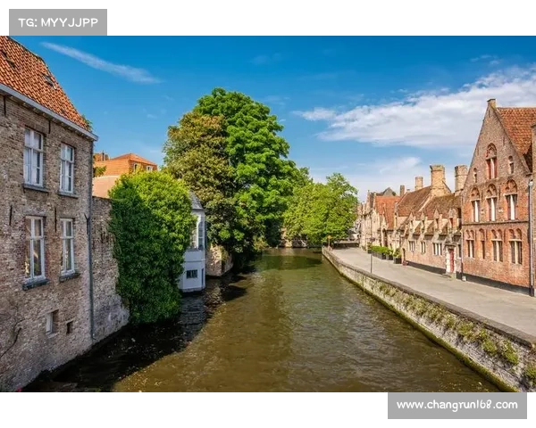 布鲁日足球俱乐部：比利时豪门的崛起与辉煌历程